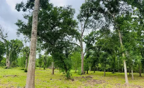 1214 Chuckwagon Court Angleton TX 77515