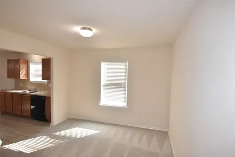 1615 Redbud Grove Court Conroe TX 77301