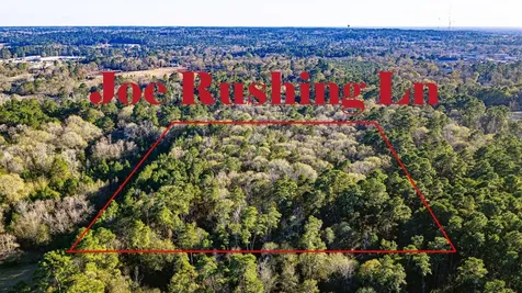 Tbd Joe Rushing Lane Livingston TX 77351