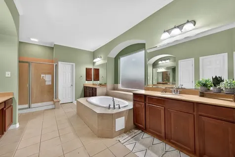 21306 Idle Wind Drive Richmond TX 77406