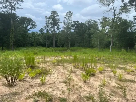 1655 Clark Road Waller TX 77363