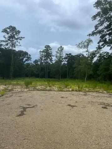 1655 Clark Road Waller TX 77363