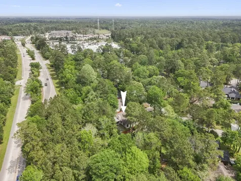 146 S Holly Laurel Circle The Woodlands TX 77382