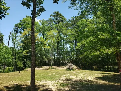0 Red Fox Drive Crosby TX 77532