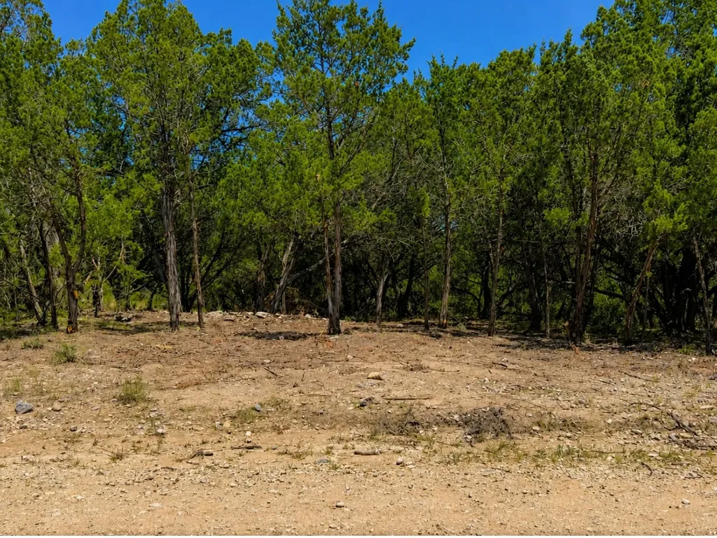 162 Wyatt Earp Drive Bandera TX 78003