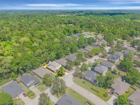 981 Doire Drive Conroe TX 77301