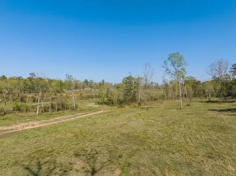 Lot 12 Fm 350 N Livingston TX 77351