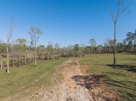 Lot 12 Fm 350 N Livingston TX 77351