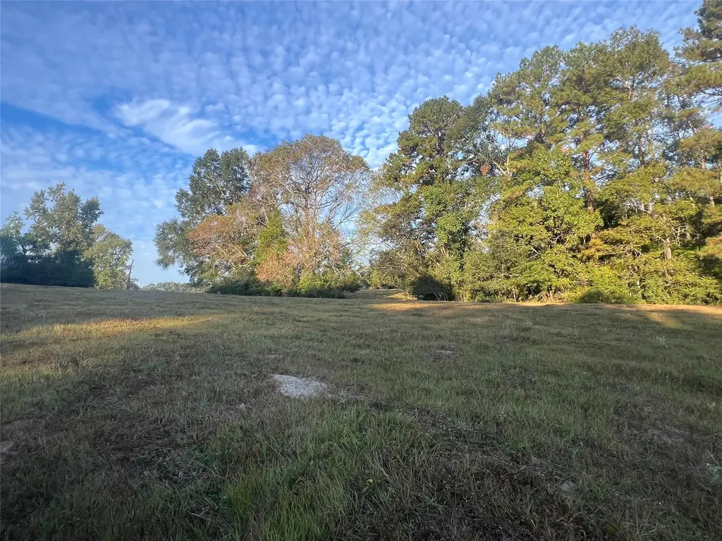 00 Hardy Bottom Road Huntsville TX 77340