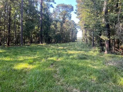 00 Hardy Bottom Road Huntsville TX 77340