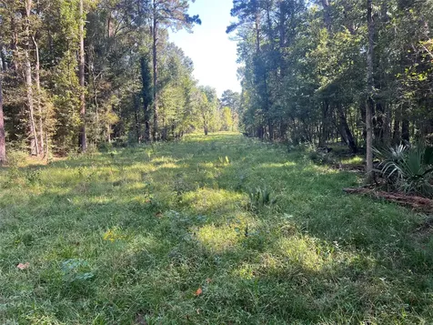00 Hardy Bottom Road Huntsville TX 77340