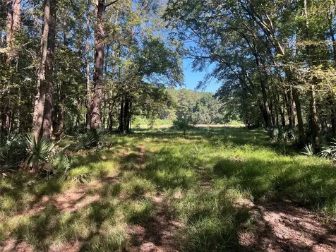 00 Hardy Bottom Road Huntsville TX 77340