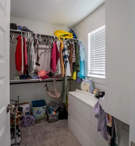 21802 Blue Daisy Court Cypress TX 77433