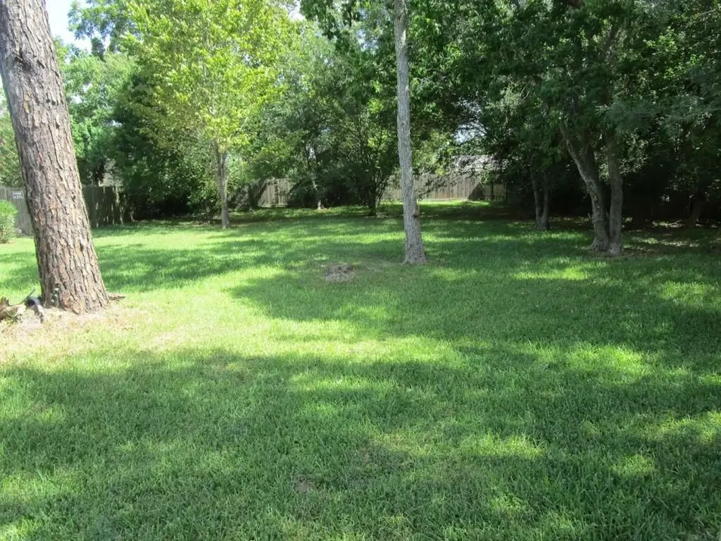 442 Baywood Street Shenandoah TX 77571