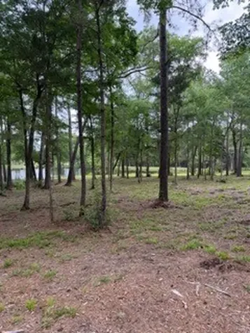 139777 Capital Creek Ranch Boulevard Willis TX 77378