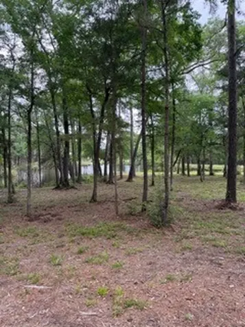 139777 Capital Creek Ranch Boulevard Willis TX 77378