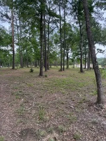 139777 Capital Creek Ranch Boulevard Willis TX 77378