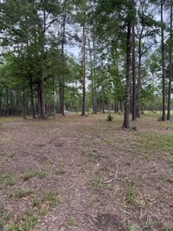 139777 Capital Creek Ranch Boulevard Willis TX 77378