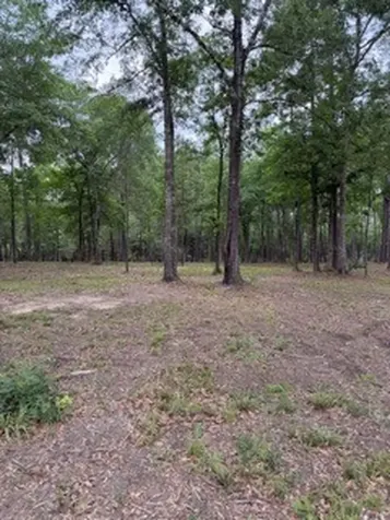139777 Capital Creek Ranch Boulevard Willis TX 77378