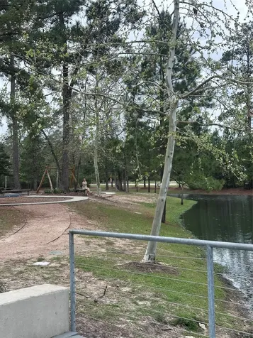 6 Gentle Branch Place Tomball TX 77375