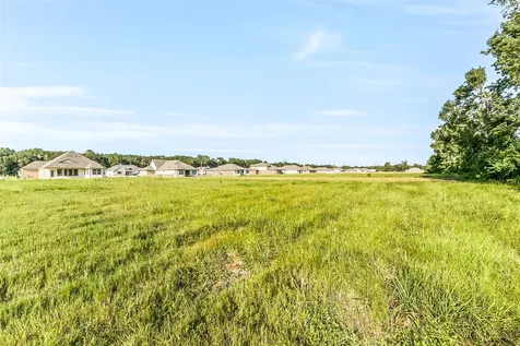 421 Barton Place Drive Tarkington TX 77327