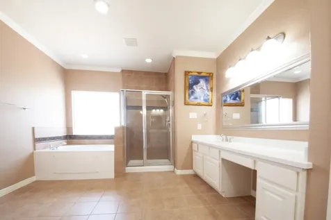 3206 Holly Thicket Drive Houston TX 77042