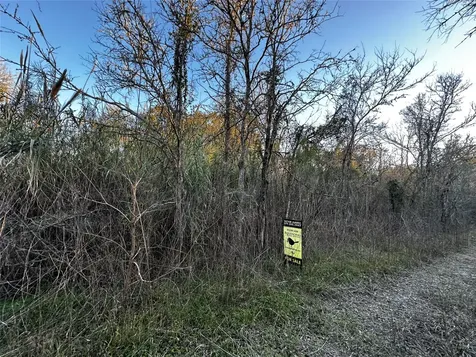 00 Ash Drive Brazoria TX 77422