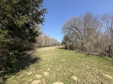 Tbd Tract 13 Fcr 445 Fairfield TX 75840