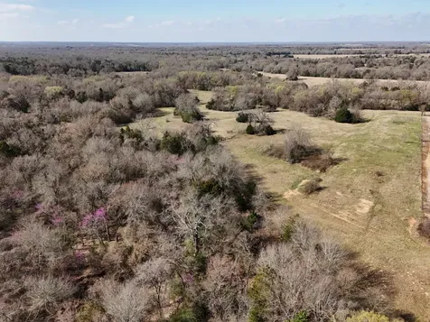Tbd Tract 13 Fcr 445 Fairfield TX 75840