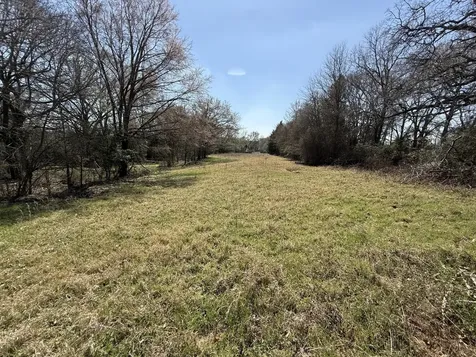 Tbd Tract 13 Fcr 445 Fairfield TX 75840