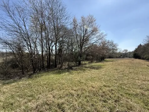 Tbd Tract 13 Fcr 445 Fairfield TX 75840