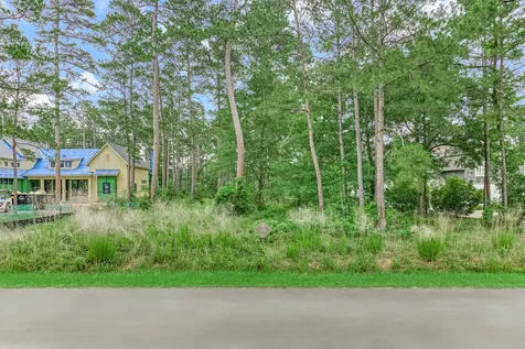 4393 Wynne Way Montgomery TX 77316