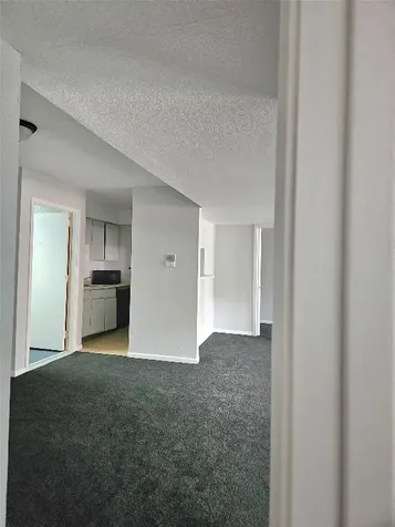 8421 Hearth Drive 21 Houston TX 77054