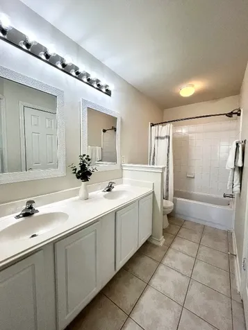58 Musgrove Place Spring TX 77382