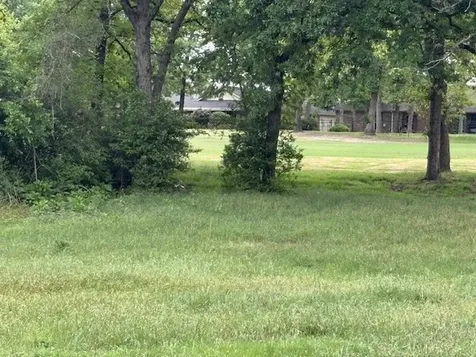 Tbd Arnold Palmer Lane Normangee TX 77871
