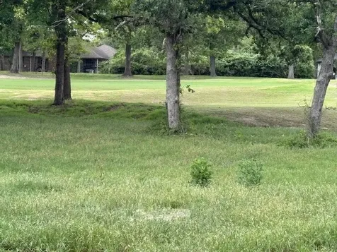 Tbd Arnold Palmer Lane Normangee TX 77871