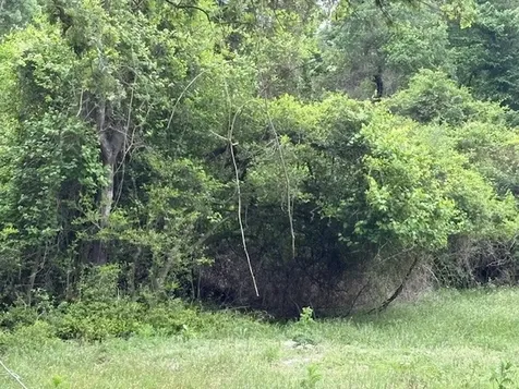 Tbd Arnold Palmer Lane Normangee TX 77871