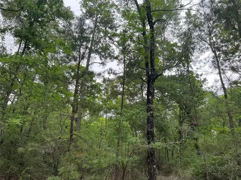 0 Cedar Court Huntsville TX 77320