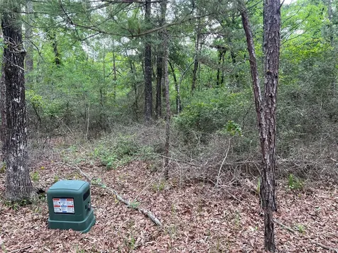 0 Cedar Court Huntsville TX 77320
