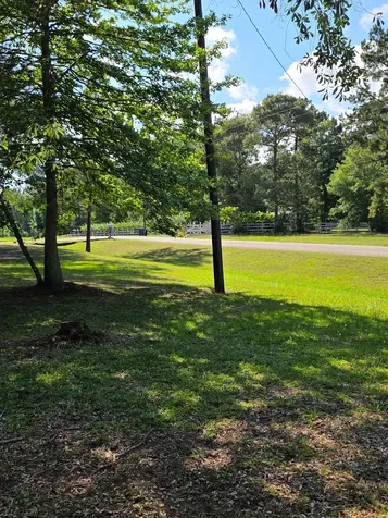 25356 Pine Knob Drive Cleveland TX 77328