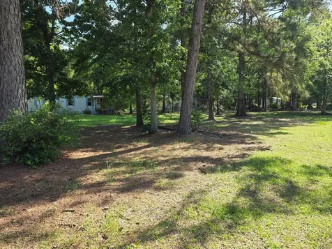 25356 Pine Knob Drive Cleveland TX 77328