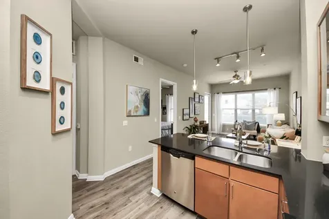 5455 Richmond Avenue 3028 Houston TX 77056