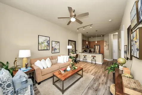 5455 Richmond Avenue 3028 Houston TX 77056