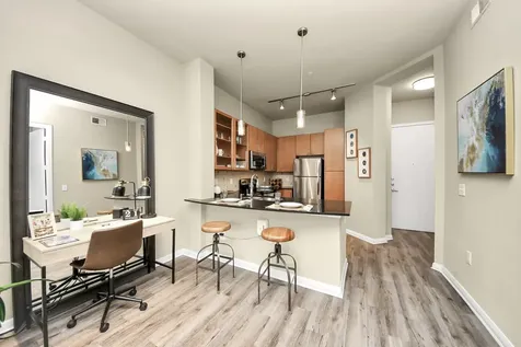 5455 Richmond Avenue 3028 Houston TX 77056