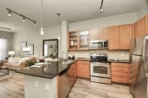 5455 Richmond Avenue 3028 Houston TX 77056