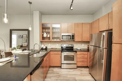 5455 Richmond Avenue 3028 Houston TX 77056