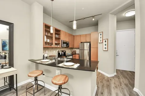 5455 Richmond Avenue 3028 Houston TX 77056
