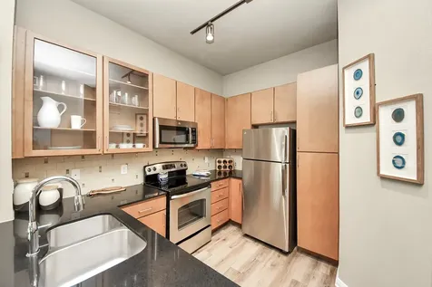 5455 Richmond Avenue 3028 Houston TX 77056