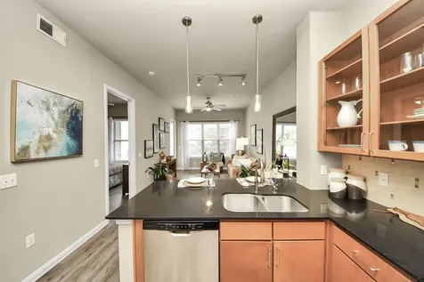 5455 Richmond Avenue 3028 Houston TX 77056
