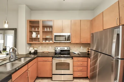 5455 Richmond Avenue 3028 Houston TX 77056
